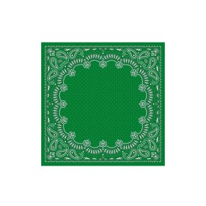 Longchamp Scarf 50 Silk Satky Zelene | 314928-RPM