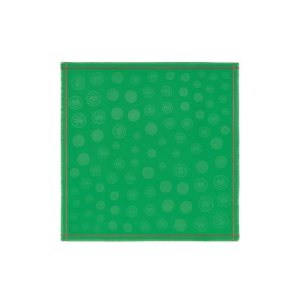 Longchamp Shawl Bavlnene Satky Zelene | 328061-CAE