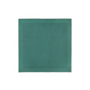 Longchamp Shawl Other Satky Siva Zelene | 708615-WFL