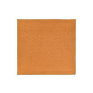 Longchamp Shawl Saffron Other Satky Oranžové | 378562-HXL