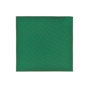 Longchamp Shawl Silk Blend Satky Zelene | 295604-TOJ